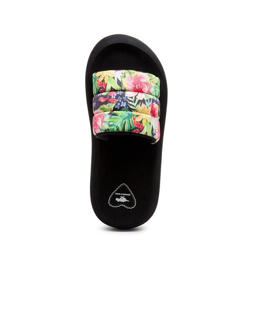 Rocket Dog Black Splash Bahama Sandals