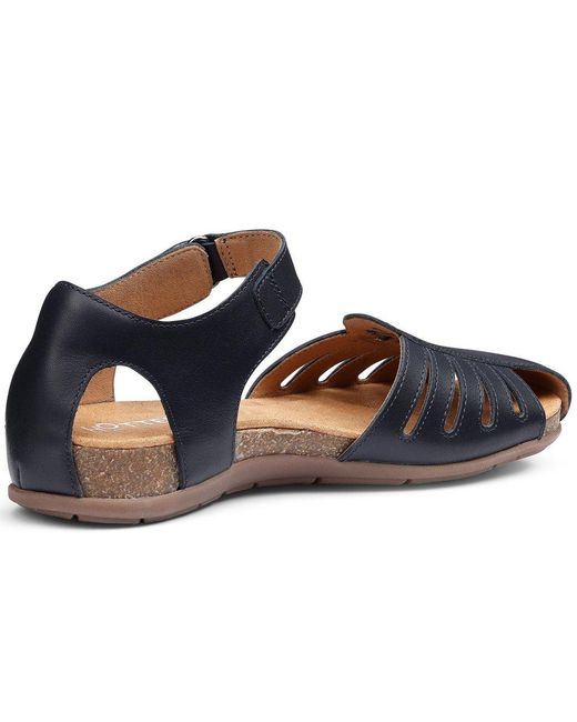Hotter Blue Dinaric Sandals