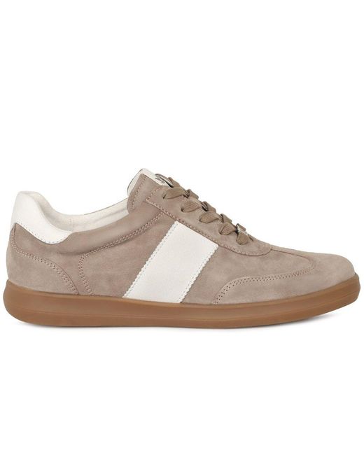 Caprice Gray Map Trainers