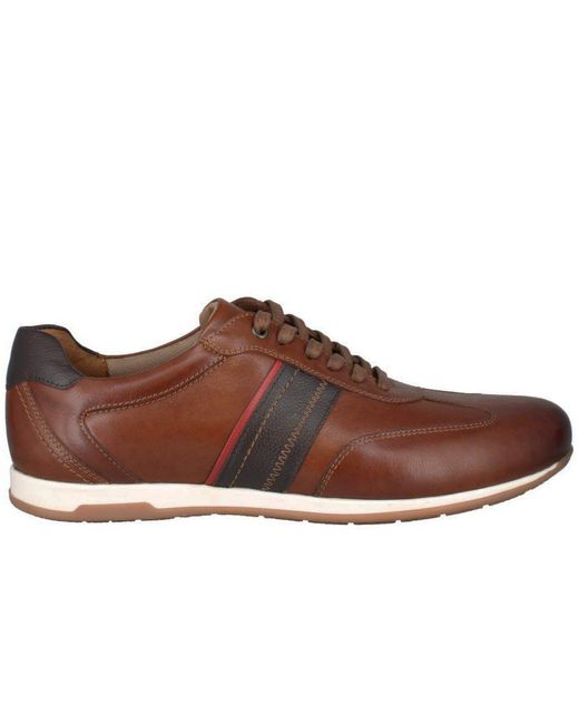 Josef Seibel Brown Colby 04 Trainers for men