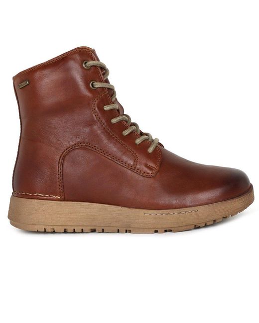 Josef Seibel Brown Anna 51 Ankle Boots