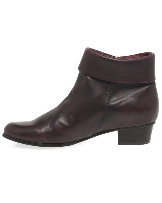 Regarde Le Ciel Brown Stefany 03 Ankle Boots