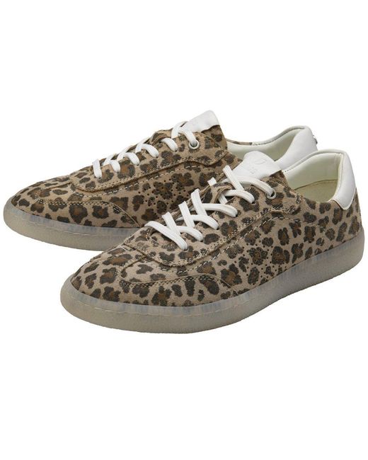 Lotus Multicolor Frapporta Trainers