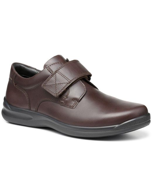 Hotter Brown Sedgwick Ii Casual Shoes for men