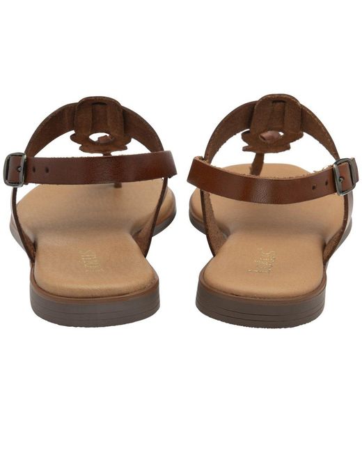 Lotus Brown Bibiana Sandals