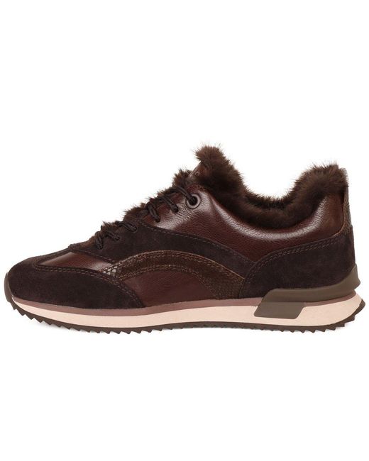 Gabor Brown Tavern Trainers