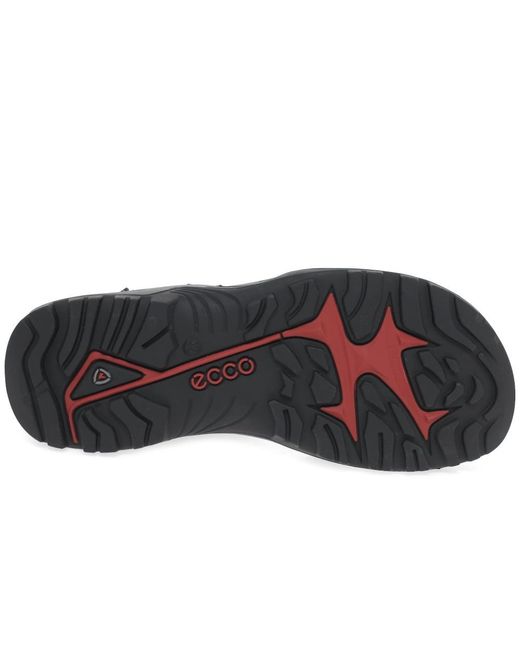 Ecco Black Offroad Walking Sandals for men
