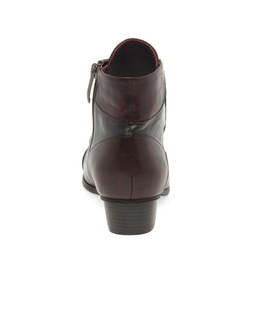 Regarde Le Ciel Brown Stefany 123 Victorian Ankle Boots
