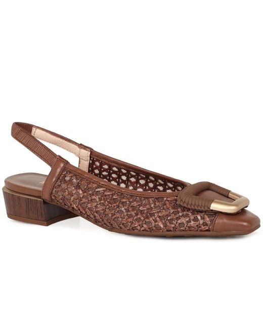 Hispanitas Brown Azucena Open Court Shoes