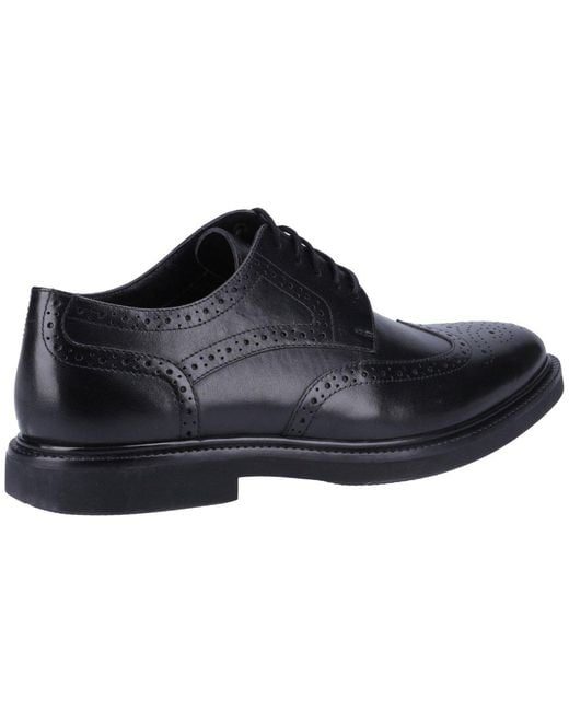 Hush Puppies Black Kingston Brogues for men