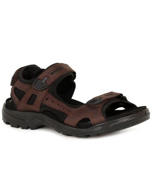 Ecco Brown Yucatan Rip Tape Fastening Sandals for men