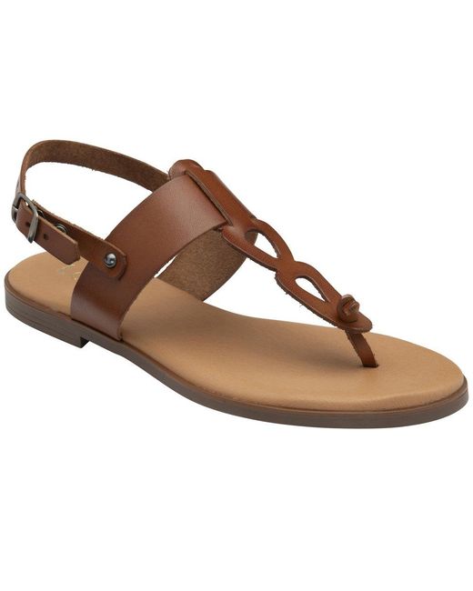 Lotus Brown Bibiana Sandals