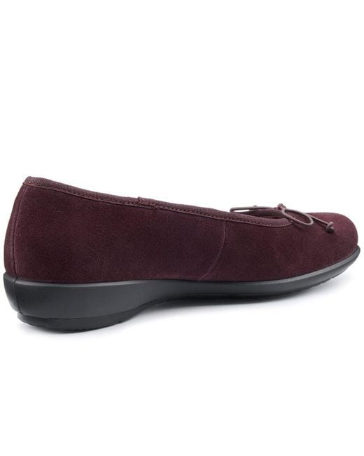 Hotter Purple Sweetie Slippers