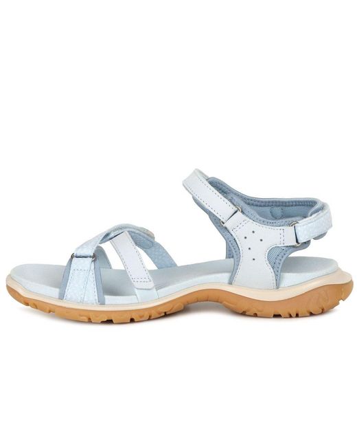 Ecco Blue Offroad Roam Sandals