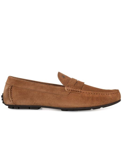 Martinelli Brown Pacific Loafers for men
