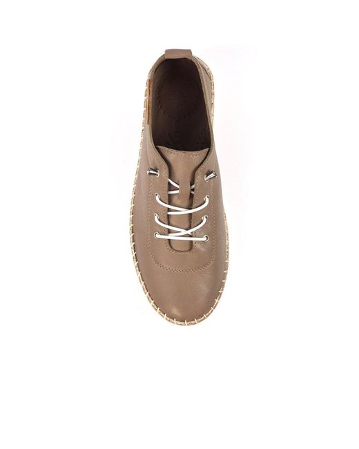 Lunar (GRS) Brown Evie Plimsoll Trainers