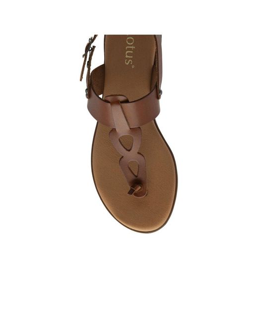 Lotus Brown Bibiana Sandals