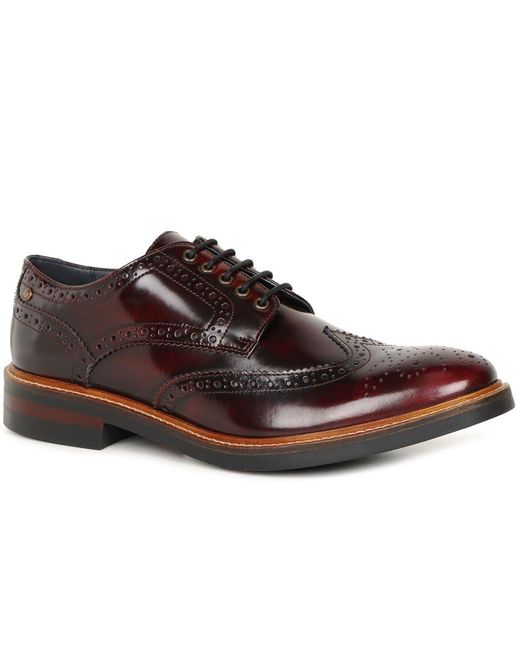 Base London Brown Woburn Brogues for men