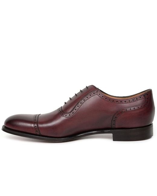Cheaney Brown Fenchurch Oxford Shoes Colour: Burgund Calf Lea (F) for men