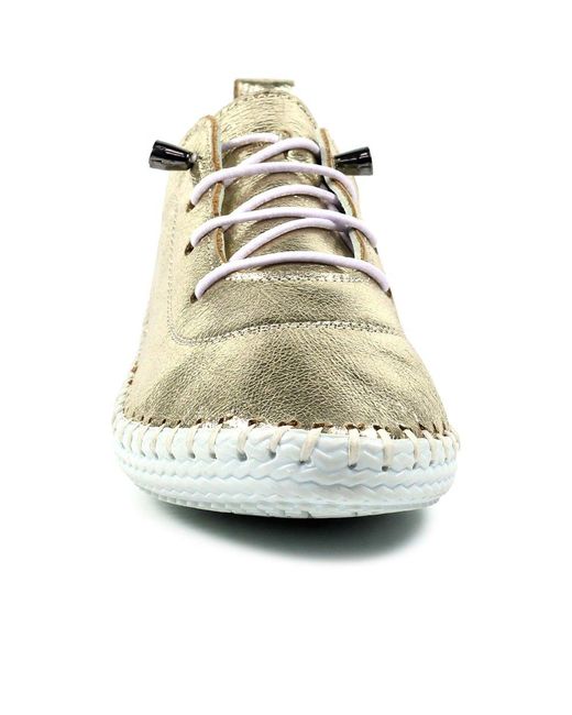 Lunar (GRS) Metallic St Ives Lace Up Shoes