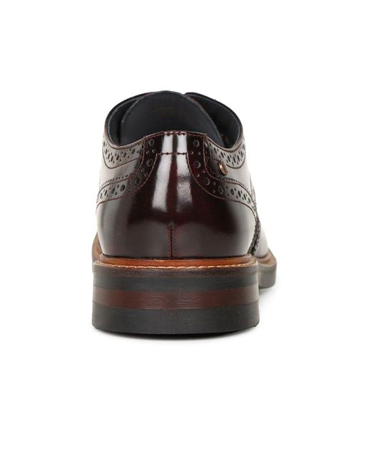 Base London Brown Woburn Brogues for men