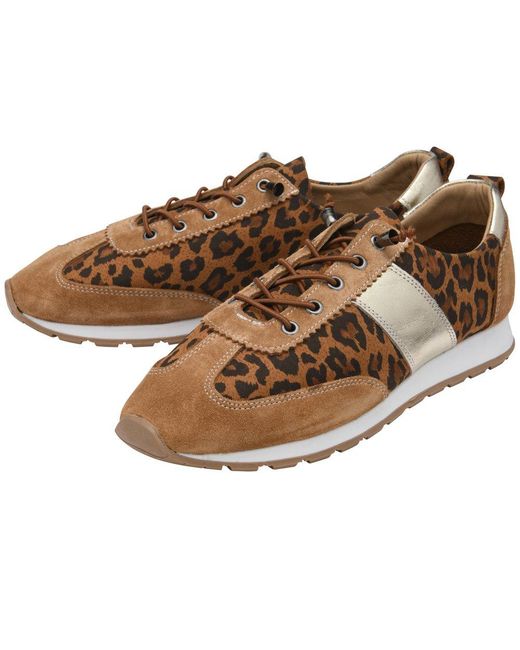 Lotus Brown Lola Trainers