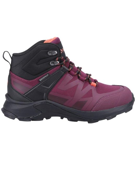 Cotswold Purple Horton Walking Boots