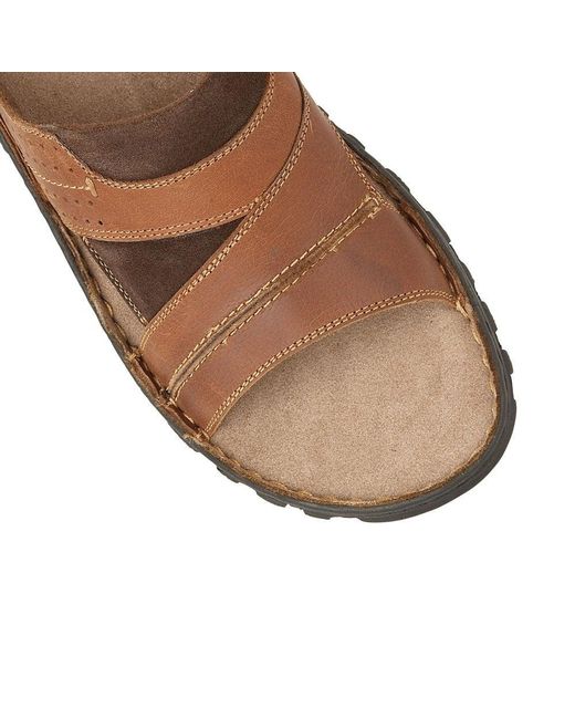 Lotus Brown Cole Mule Sandals for men