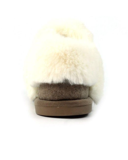 Lunar Brown Ember Iii Boxed Slippers