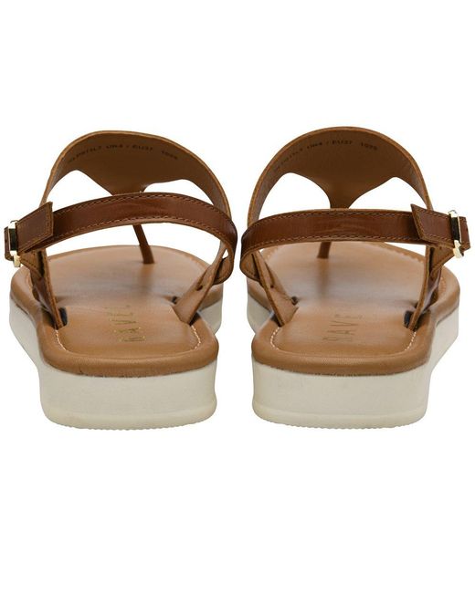 Ravel Brown Cattal Toe Post Sandals