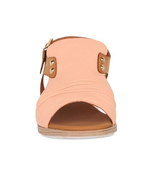 Paula Urban Brown Coastal Buckle Fastening Sandals