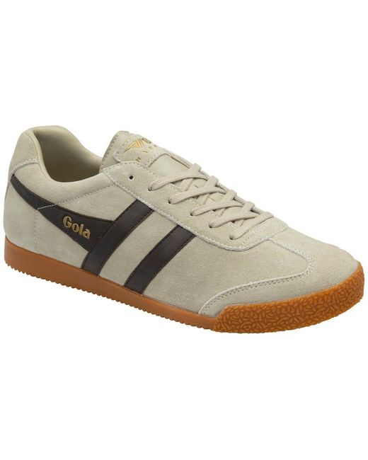 Gola Gray Harrier Suede Trainers for men