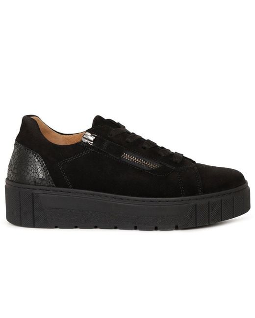 Gabor Gray Ferry Trainers