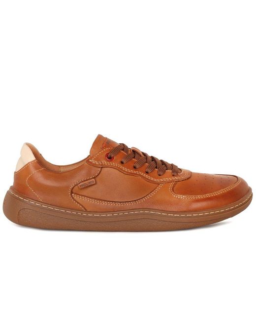 Pikolinos Brown Aranjuez Trainers