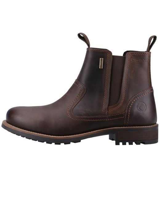 Cotswold Brown Worcester Chelsea Boots for men