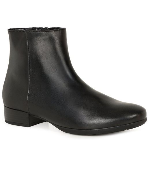 Gabor Blue Buzz Ankle Boots