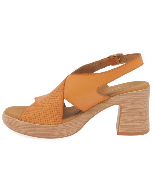 Paula Urban Brown Hideaway Sandals