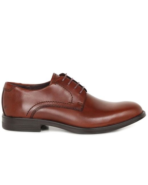 Ecco Brown Melbourne Formal Lace Up Shoes for men