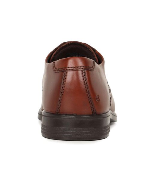 Ecco Brown Melbourne Formal Lace Up Shoes for men