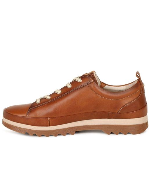 Pikolinos Brown Void Shoes