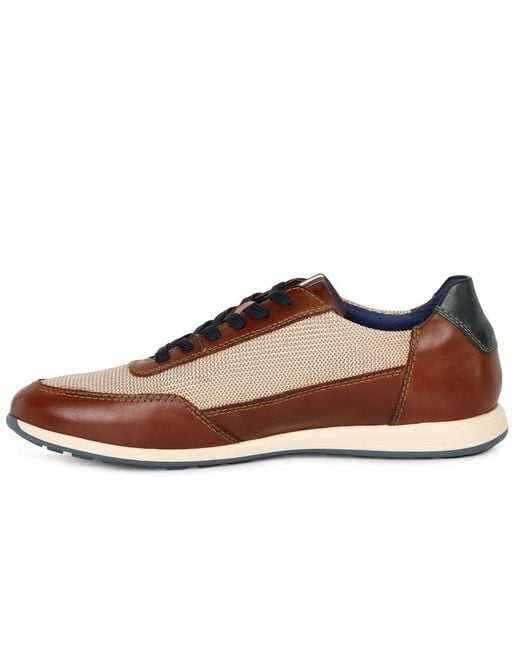 Bugatti Brown Troupe Trainers for men