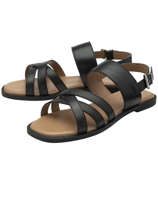 Lotus Brown Torro Sandals