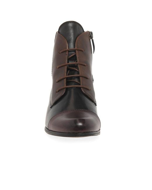 Regarde Le Ciel Brown Stefany 123 Victorian Ankle Boots