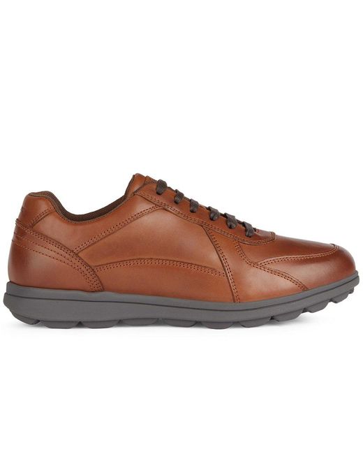 Geox Brown U Spherica Ec12 Shoes for men