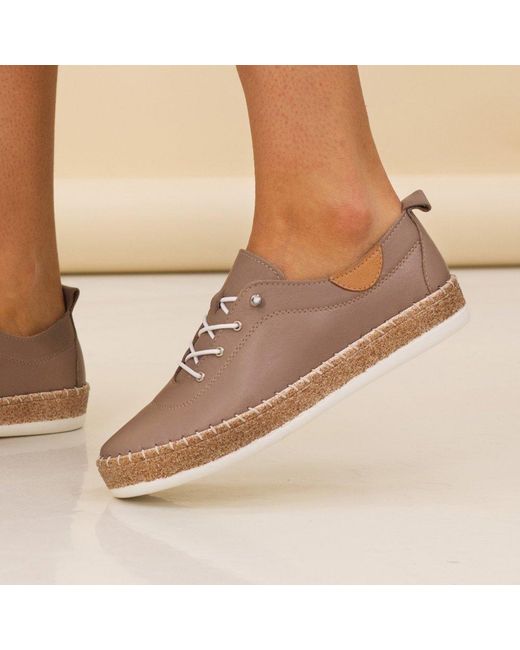 Lunar (GRS) Brown Evie Plimsoll Trainers