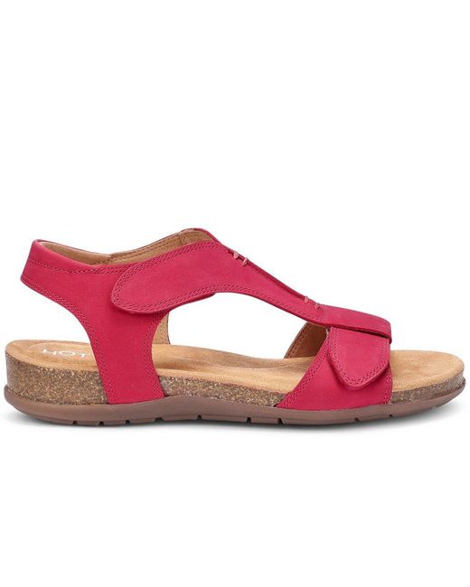 Hotter Pink Rysy Sandals