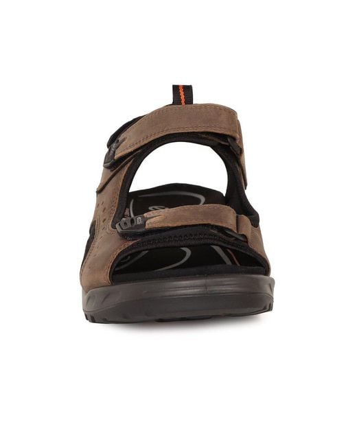 Ecco Brown Trail Casual Sandals for men