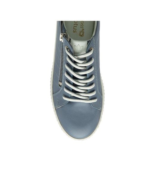 Lotus Blue Soul Trainers
