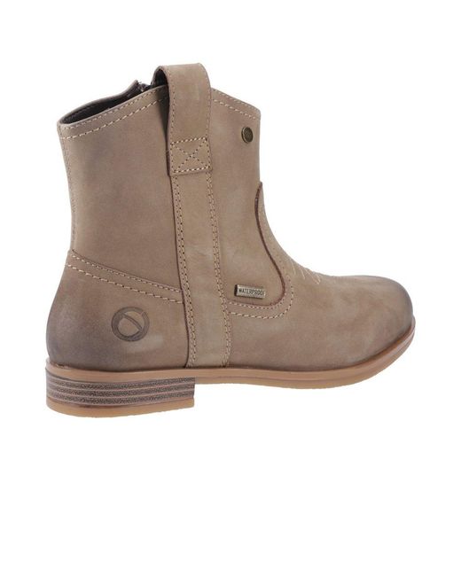Cotswold Brown Signet Ankle Boots