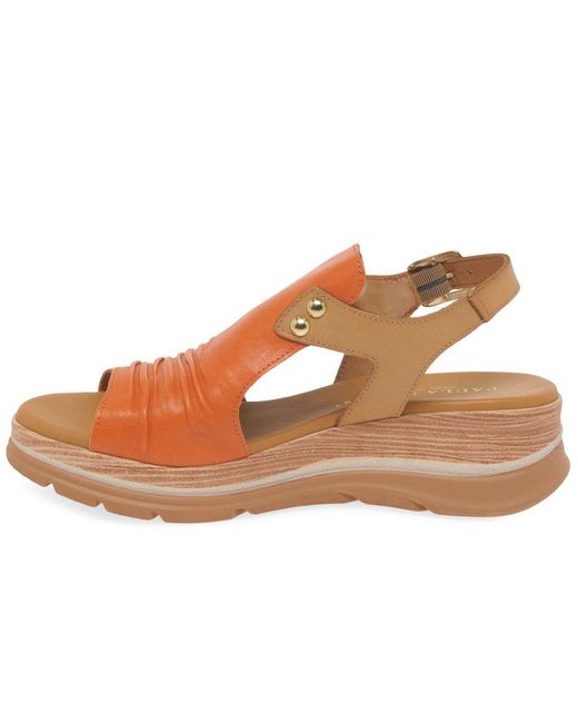 Paula Urban Brown Riviera Ii Sandals